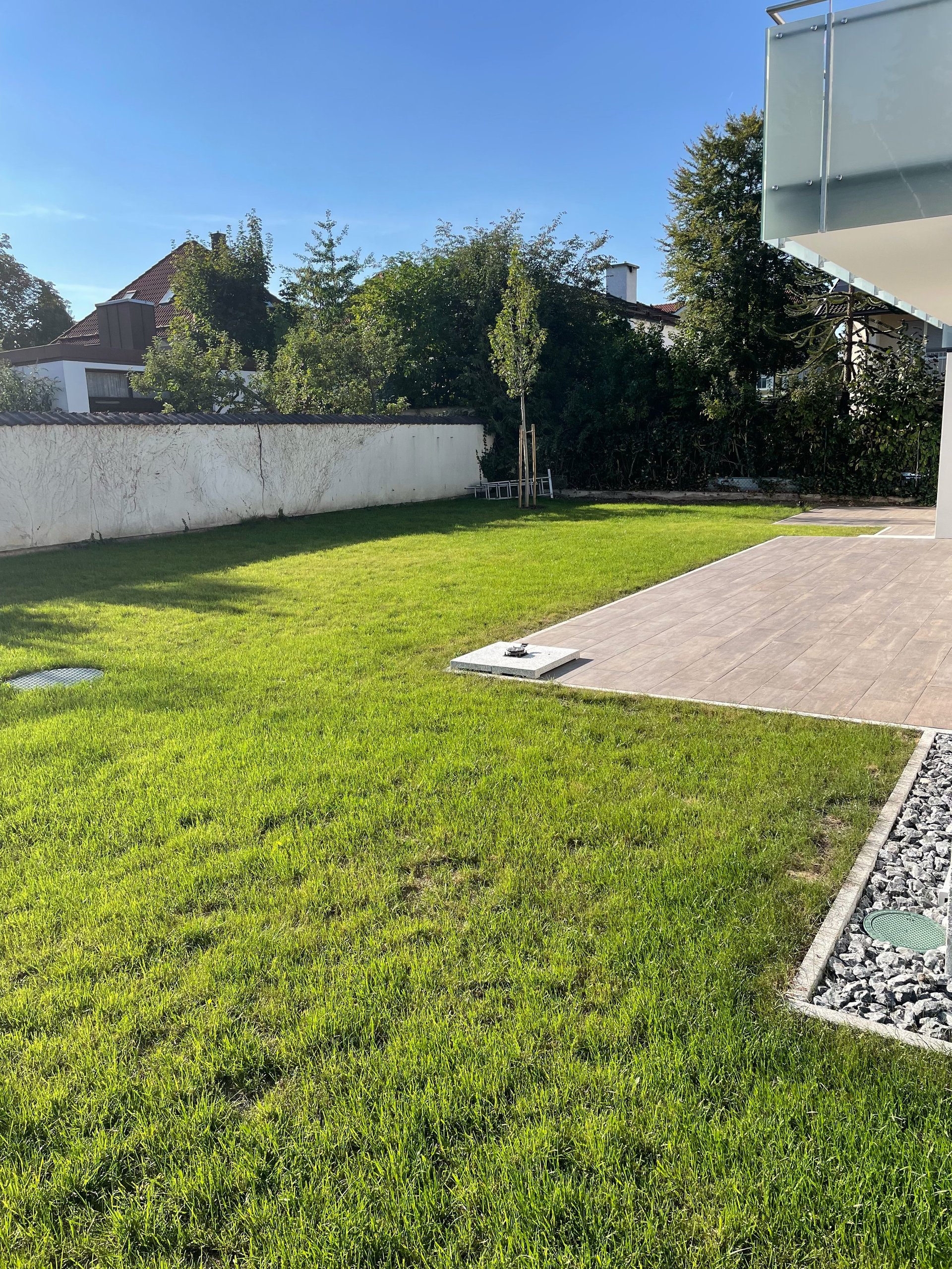 Modern backyard with green lawn, paved patio, white concrete wall, and landscaping under clear blue sky